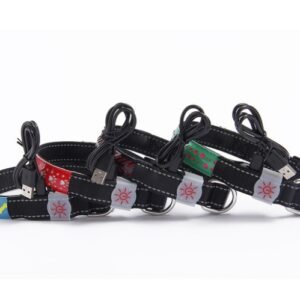 Collar LED Luminoso para Paseo Nocturno