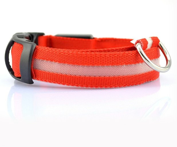 Collar LED de Seguridad para Perros — Visible de Noche - Imagen 10