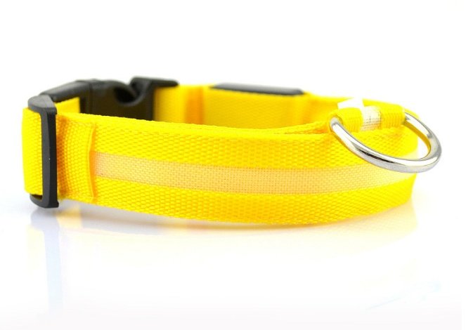 Collar LED de Seguridad para Perros — Visible de Noche - Imagen 5