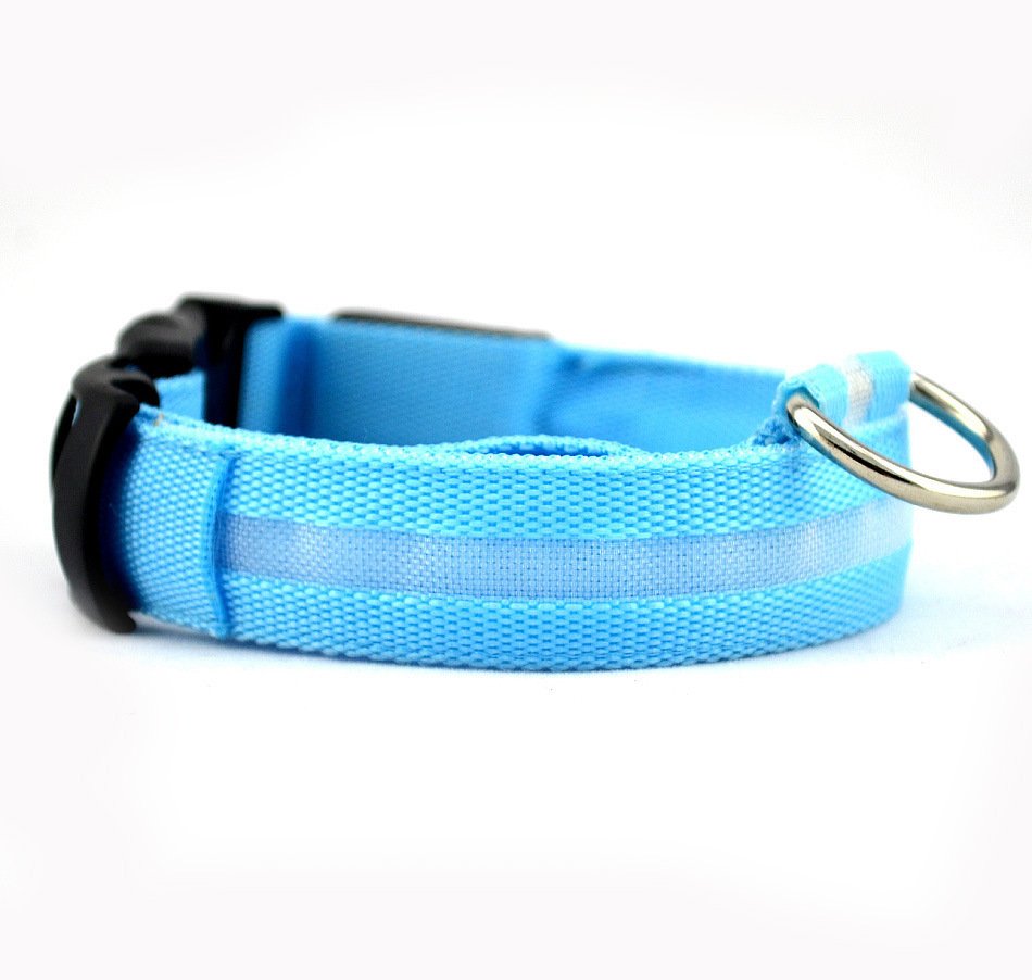 Collar LED de Seguridad para Perros — Visible de Noche - Imagen 9