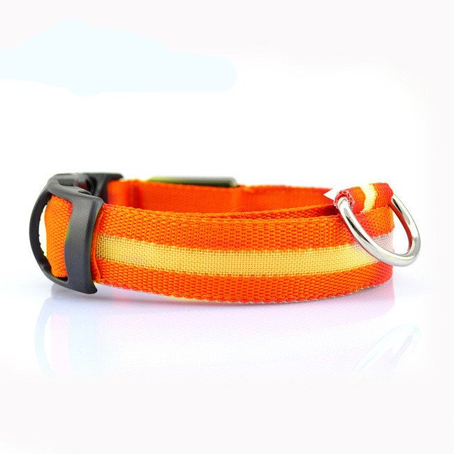 Collar LED de Seguridad para Perros — Visible de Noche - Imagen 7