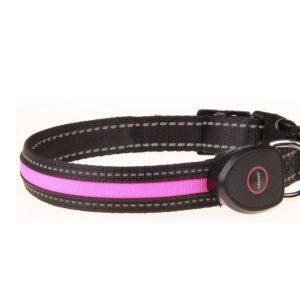 Collar Luminoso LED Recargable USB para Perros