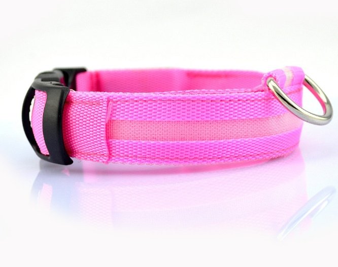 Collar LED de Seguridad para Perros — Visible de Noche - Imagen 4