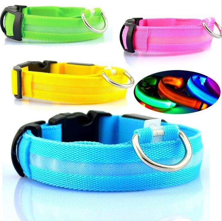 Collar LED + Colgante LED para Perros — Kit Seguridad Nocturna - Imagen 2