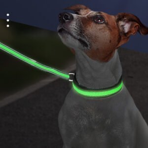 Collar LED de Malla para Perros — Carga USB-C