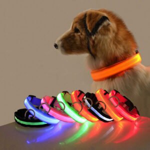 Collar LED de Seguridad para Perros — Visible de Noche