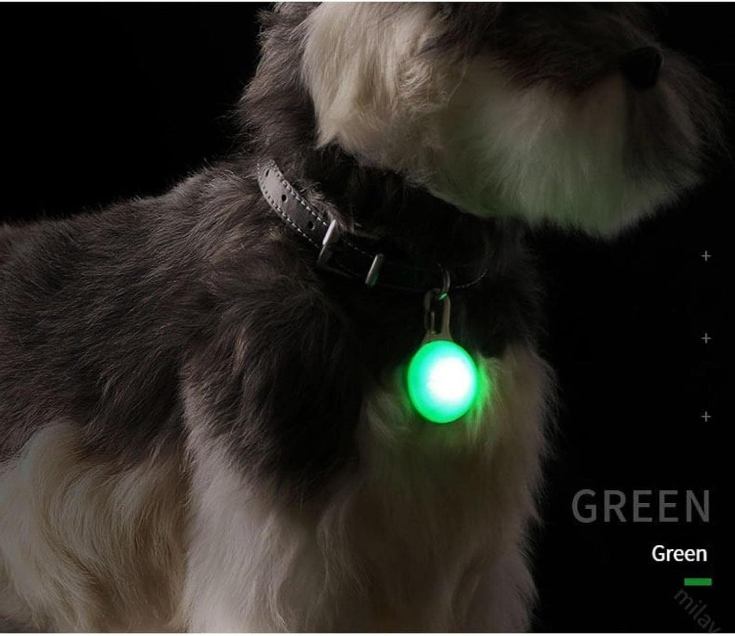 Collar LED + Colgante LED para Perros — Kit Seguridad Nocturna - Imagen 4