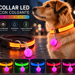 Collar LED + Colgante LED para Perros — Kit Seguridad Nocturna